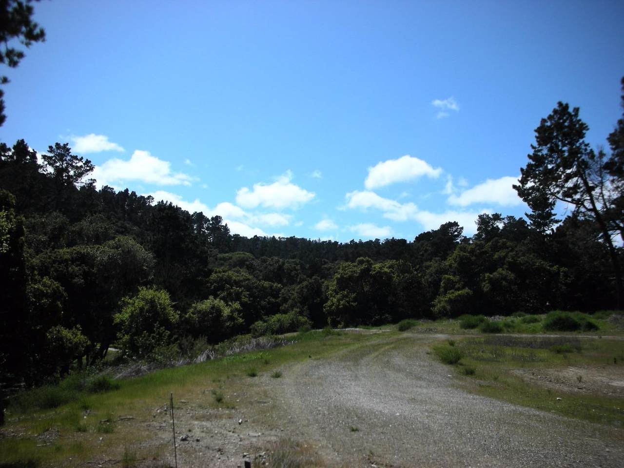 7745 Paseo Venado (Lot 83) - Photo 1