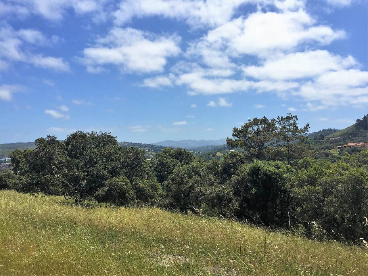 7572 Paseo Vista Place (Lot 52) - Photo 1