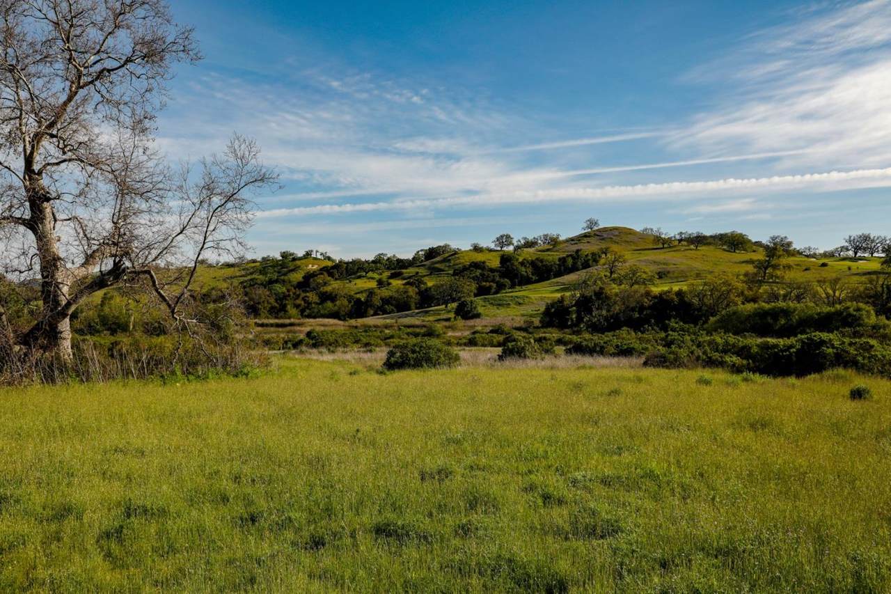 34222 Robinson Canyon Rd - Photo 1