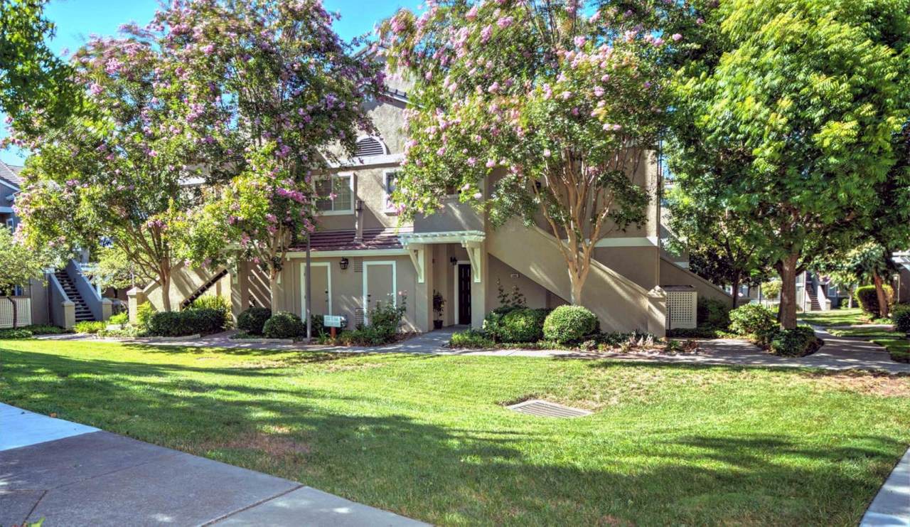 866 Bucks Lake Ct - Photo 1