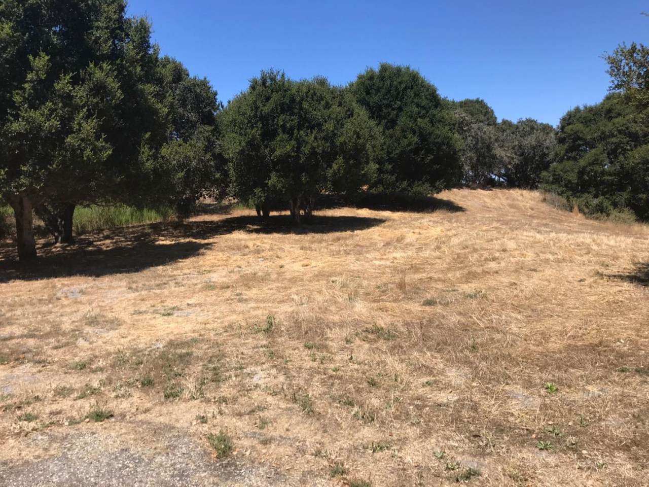 8100 Manjares - Photo 1