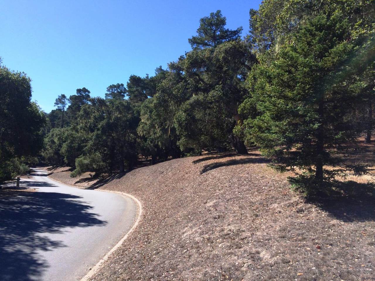 24262 Via Malpaso (Lot 28) - Photo 1