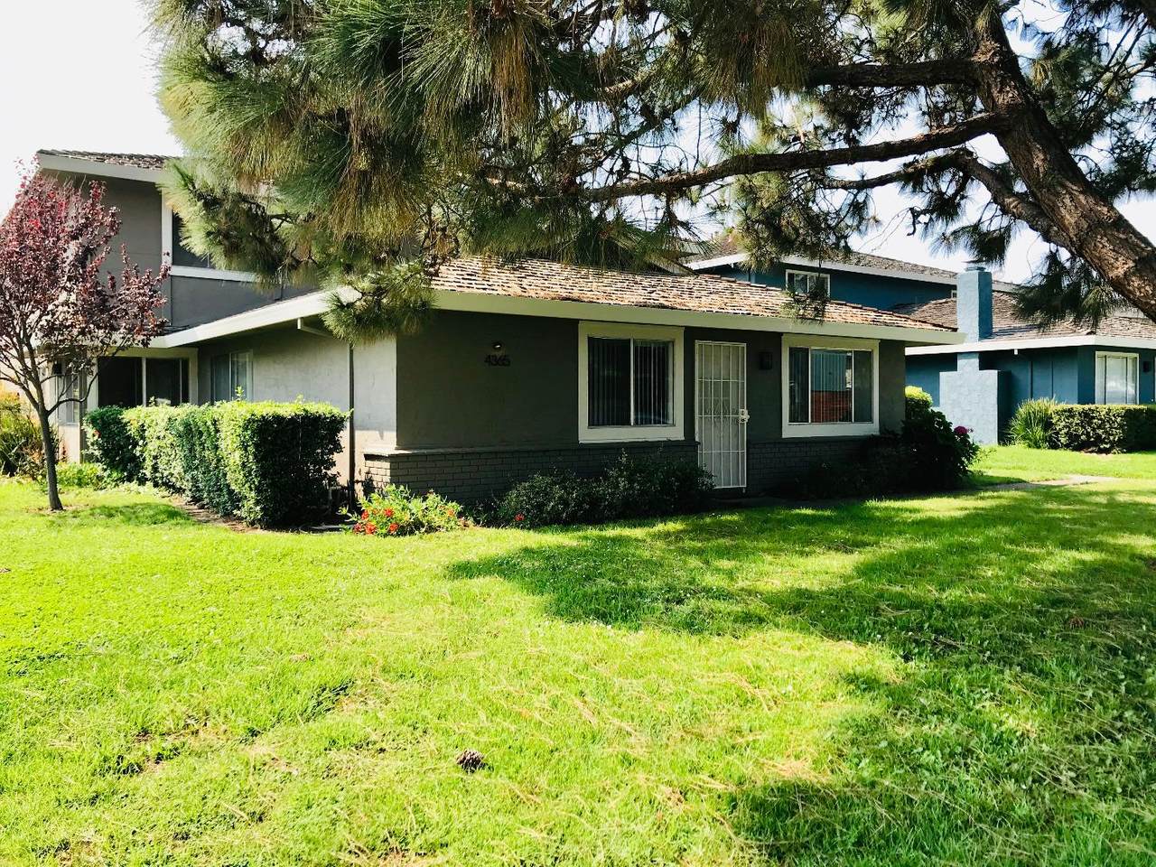 4365 Diamond St One - Photo 1