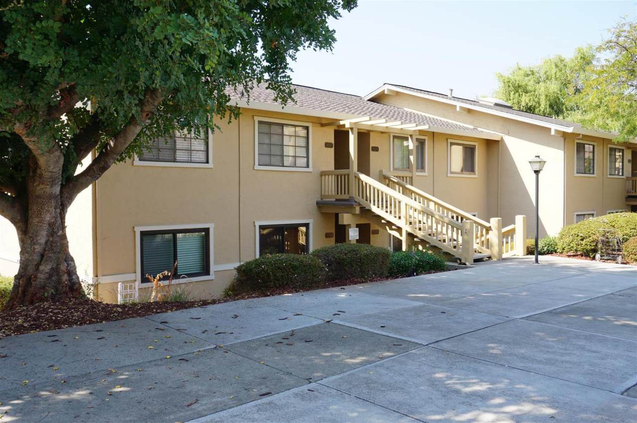 5058 Cribari Vale - Photo 1