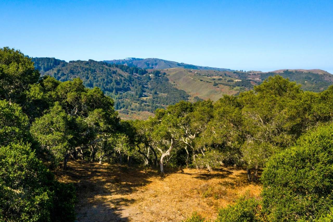 2 Corral Run - Photo 1