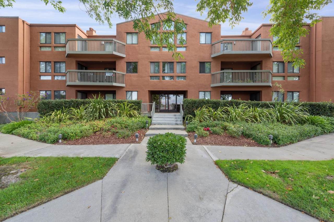 2425 Norfolk St 304 - Photo 1