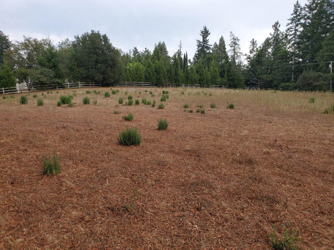 0000 Loma Prieta Ave - Photo 1