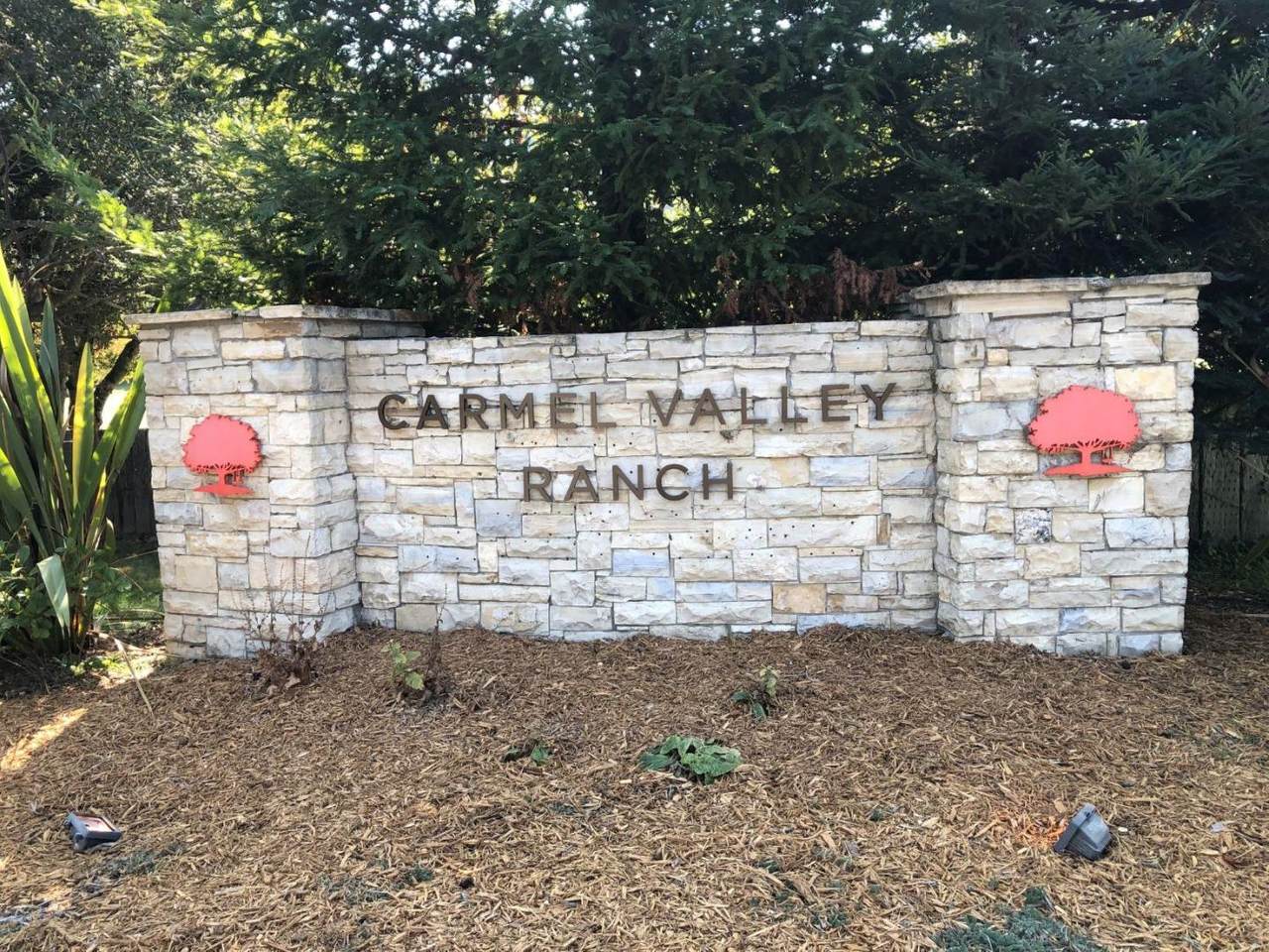 28002 Oakshire Dr - Photo 1
