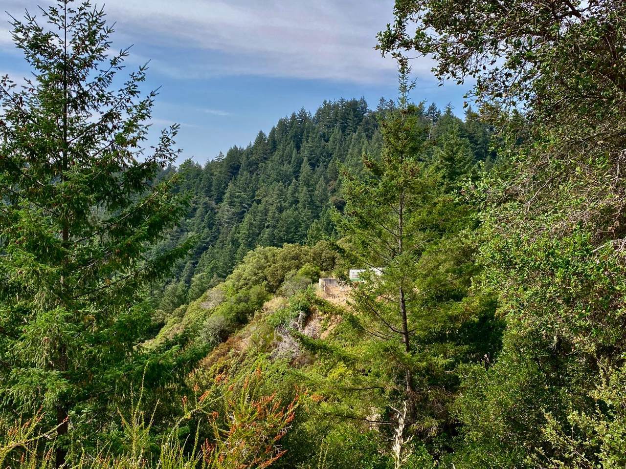 12280 Indian Trail Rd - Photo 1