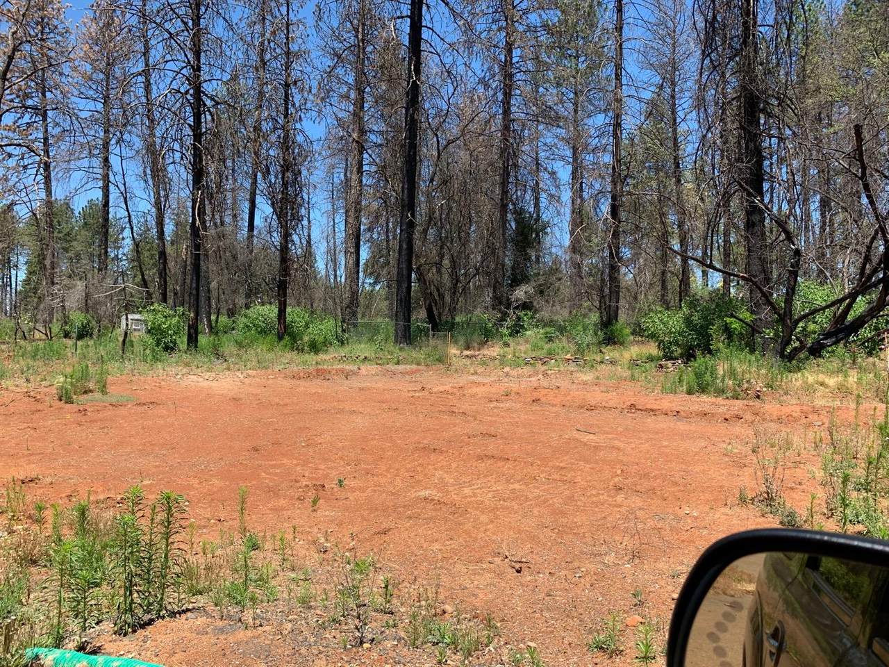 6372 Forest Ln - Photo 1