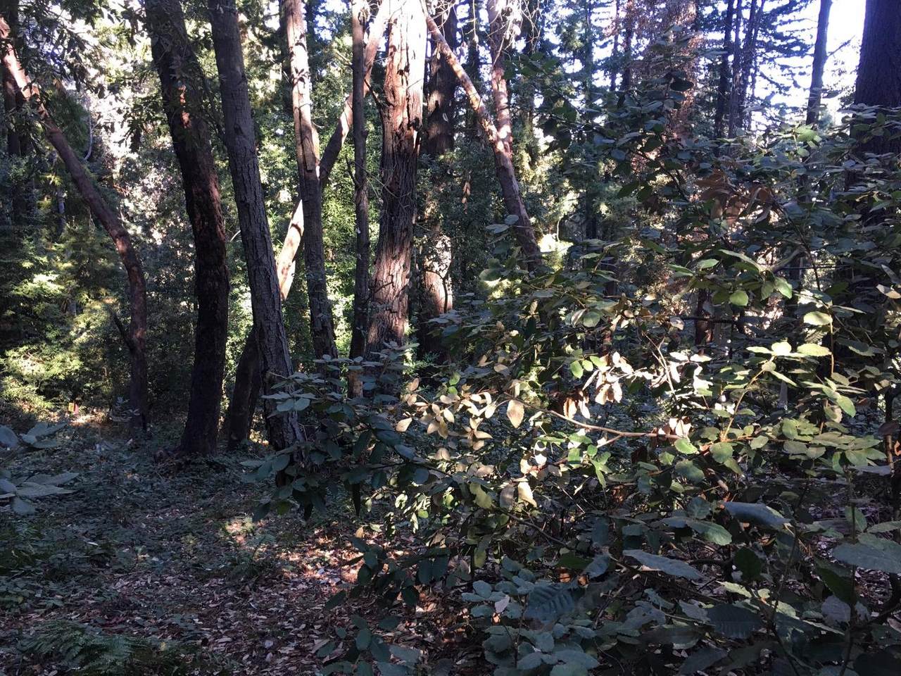 - Mountain Charlie Rd - Photo 1