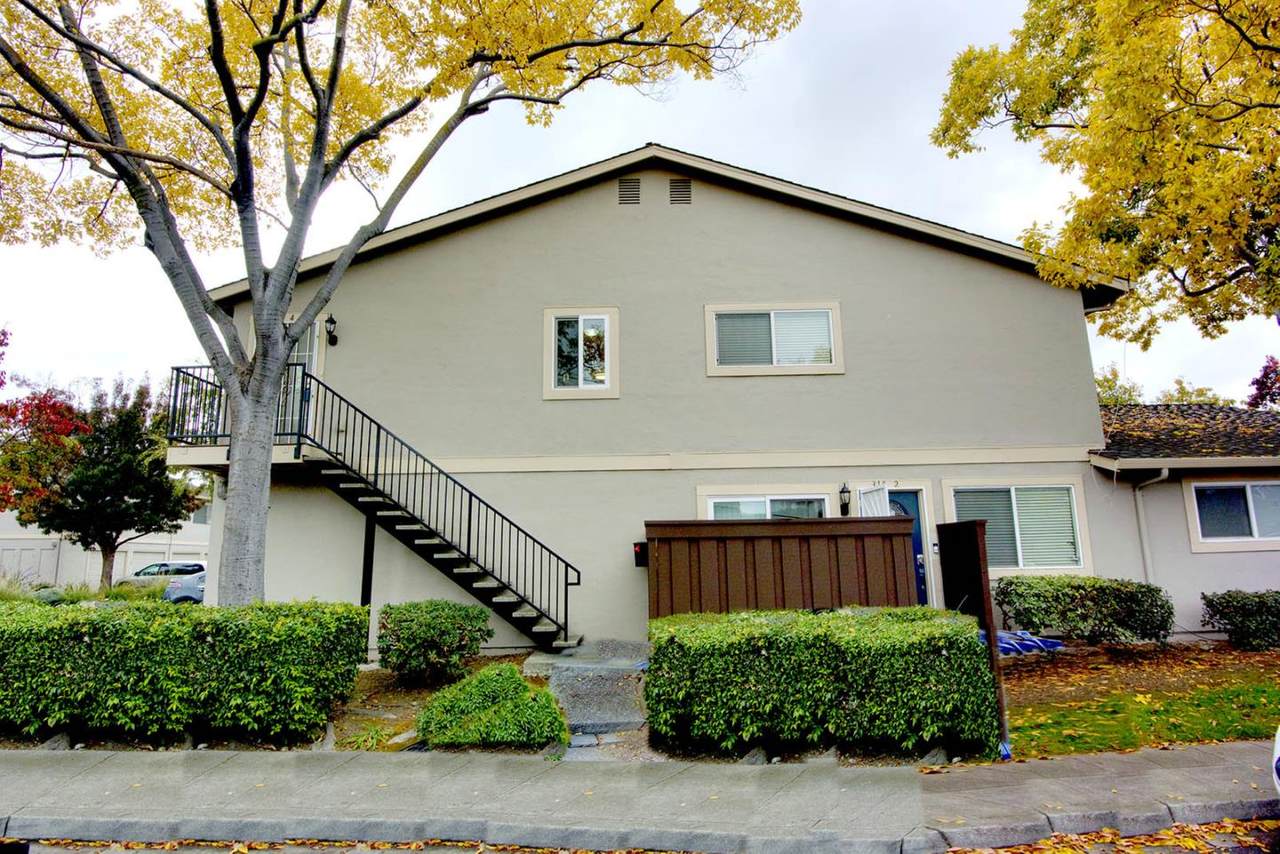 310 San Petra Ct 4 - Photo 1