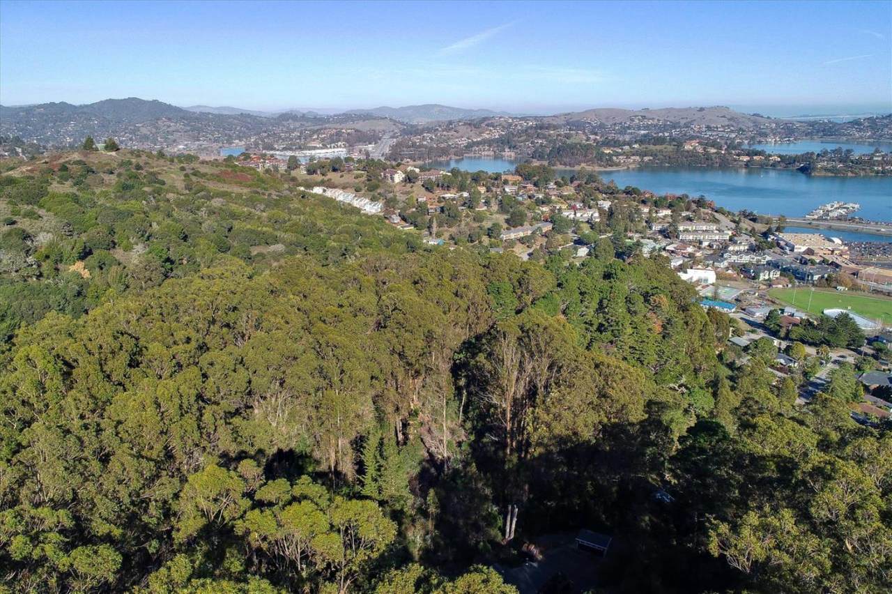 22 Pacheco St - Photo 1