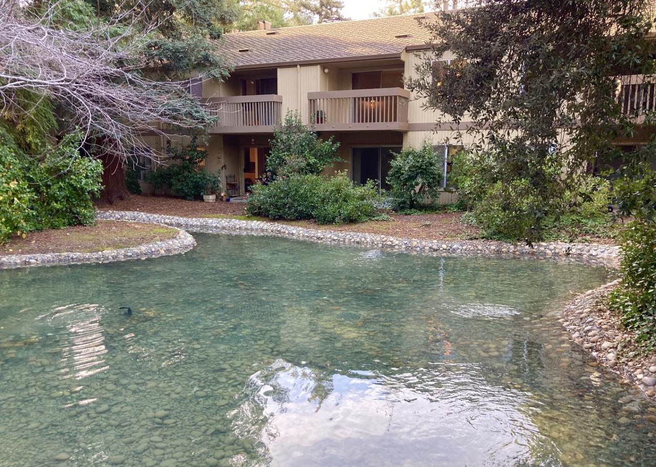 505 Cypress Point Dr 301 - Photo 1