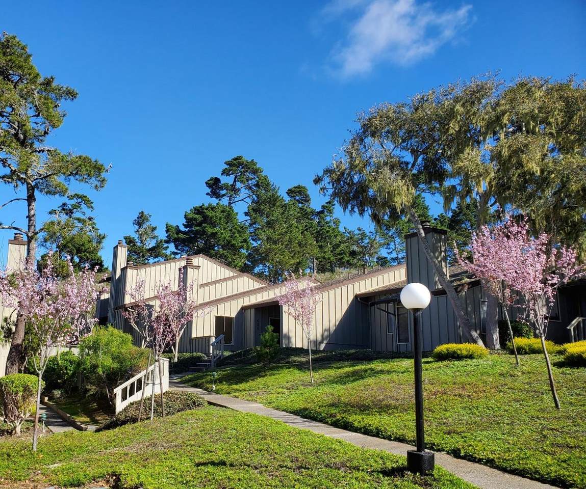 605 Sage Court - Photo 1