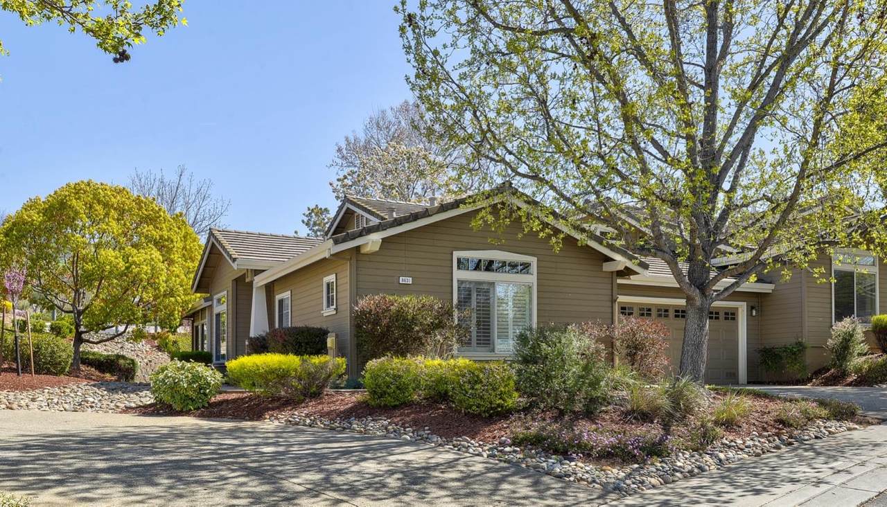 8631 American Oak Dr - Photo 1