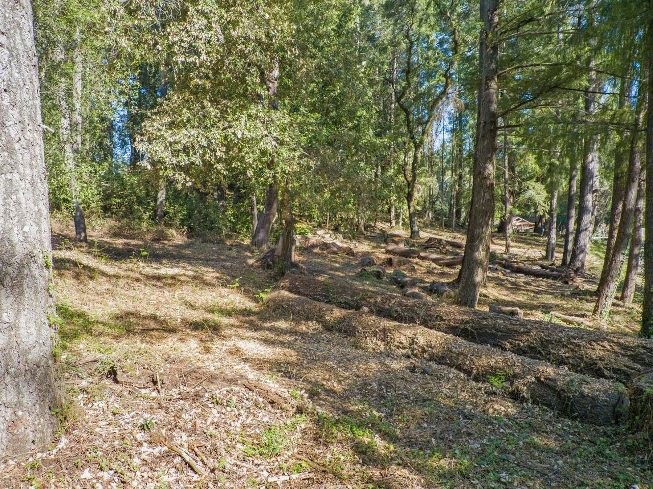 0 0 Westdale - Photo 1
