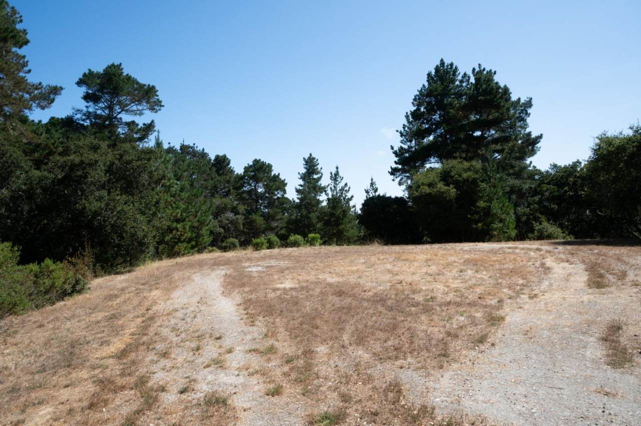 0 Paseo Venado (Lot 116) - Photo 1