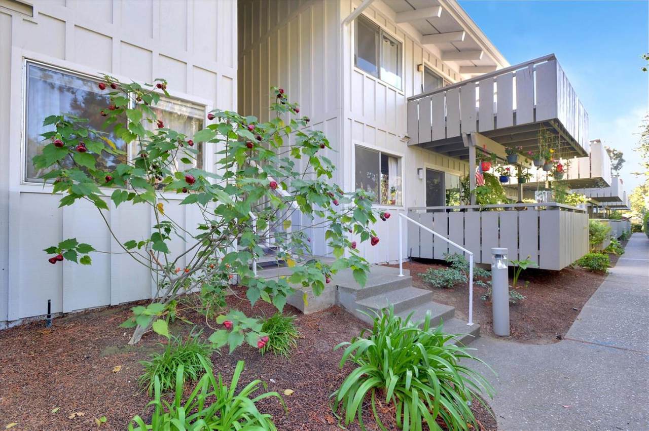 255 Rengstorff Ave 116 - Photo 1