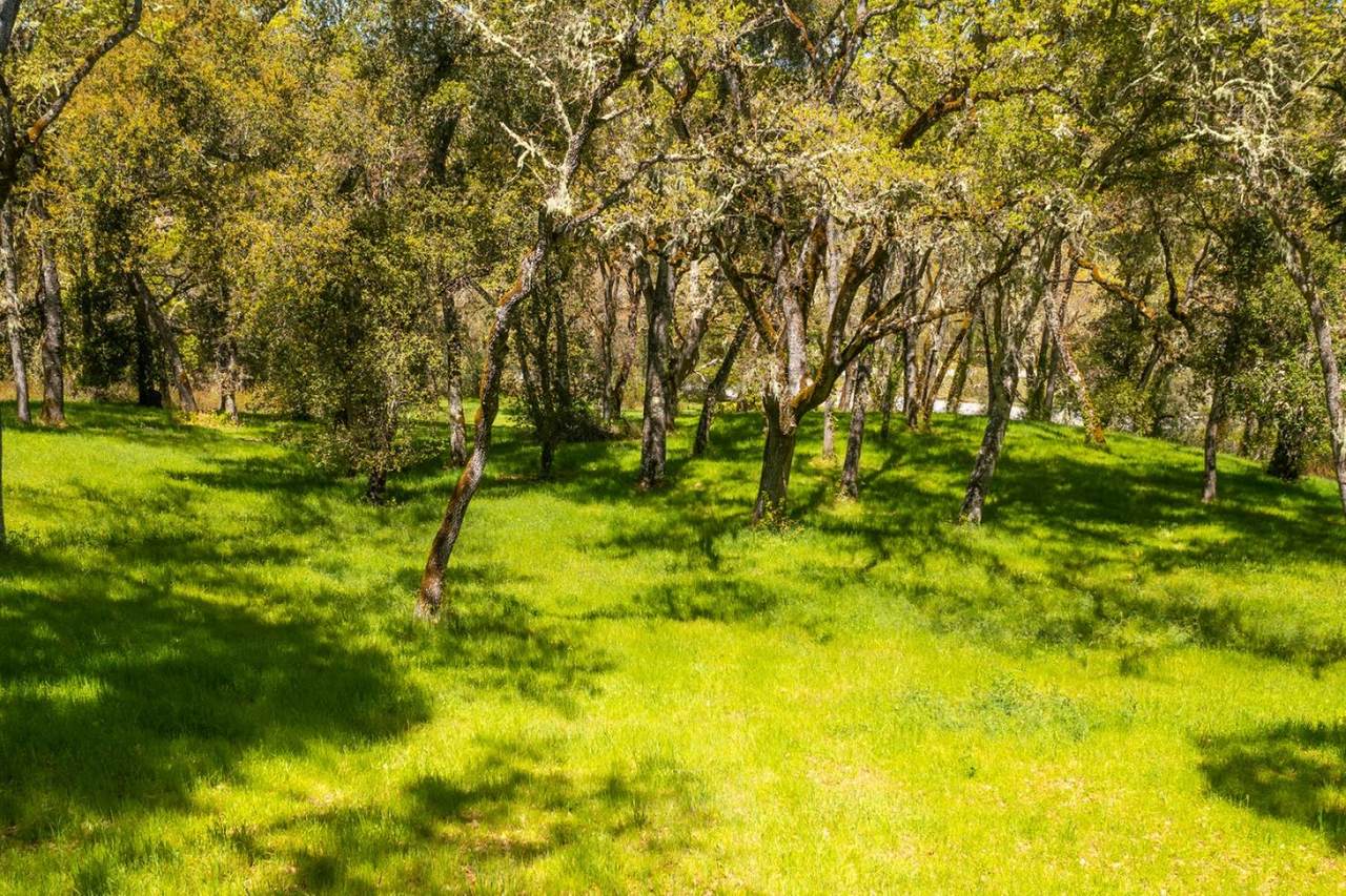 4 San Clemente Trl - Photo 1