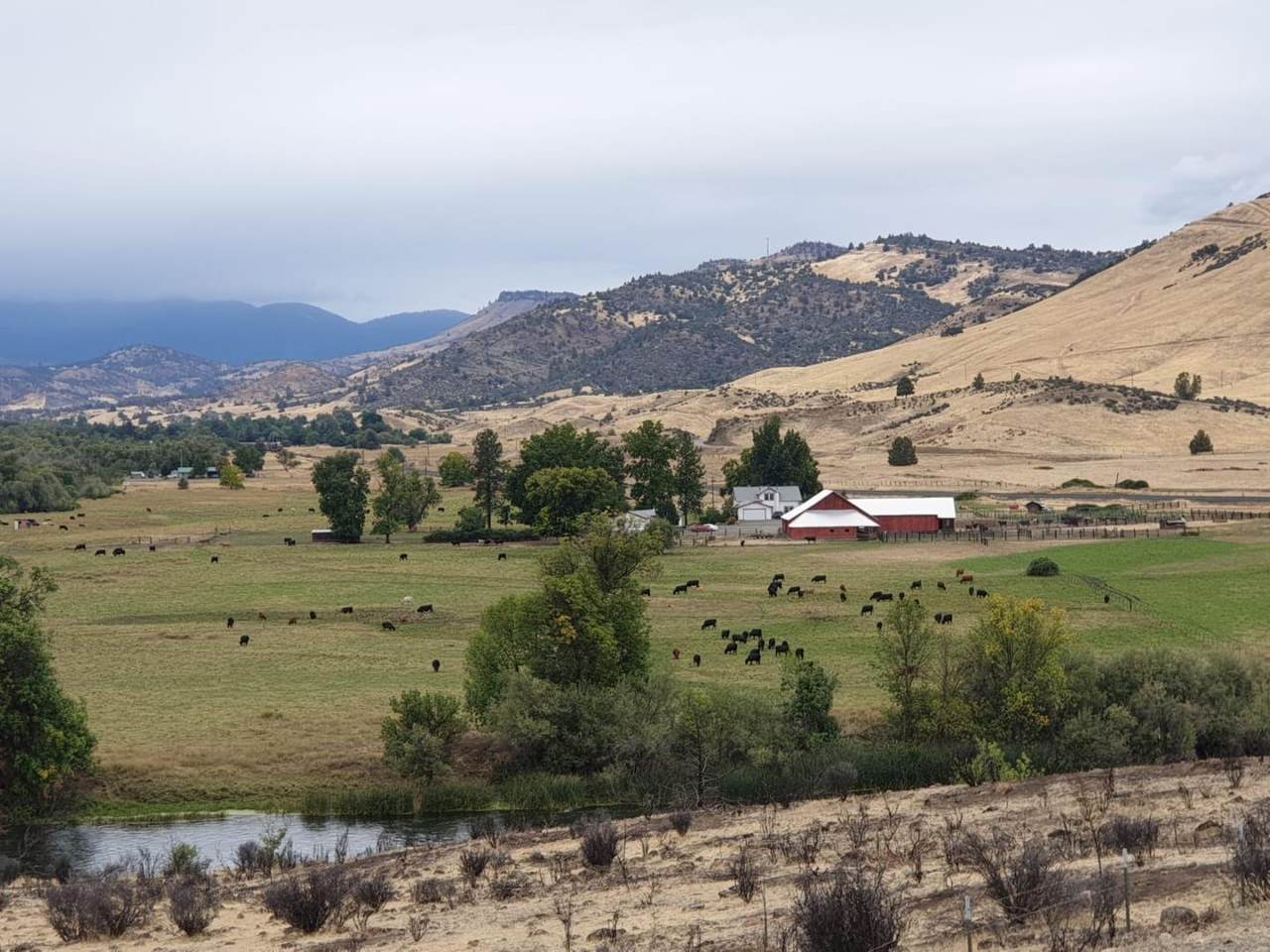 1224 Copco Rd - Photo 1