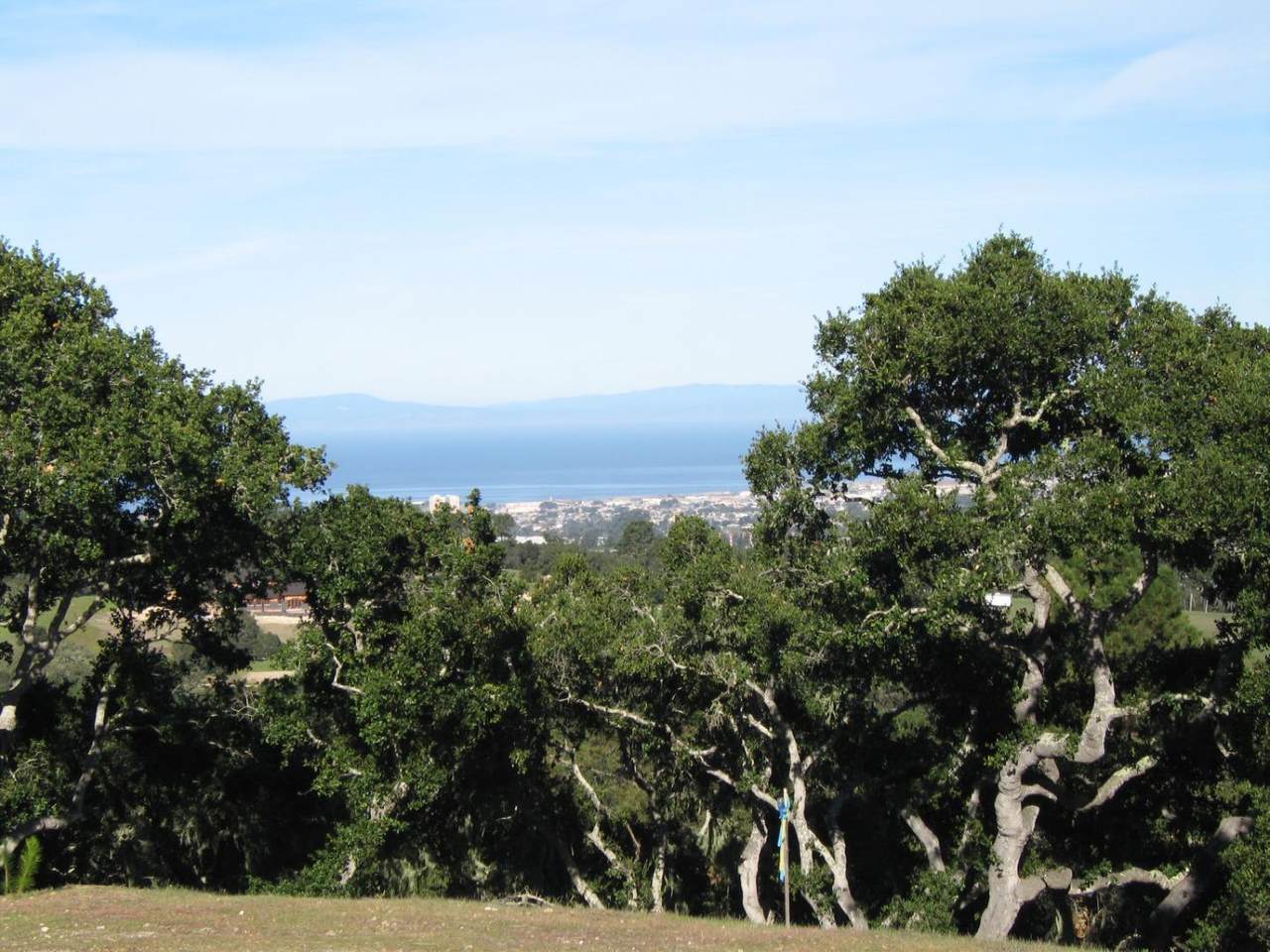 7825 Monterra Oaks (Lot 112) Rd - Photo 1