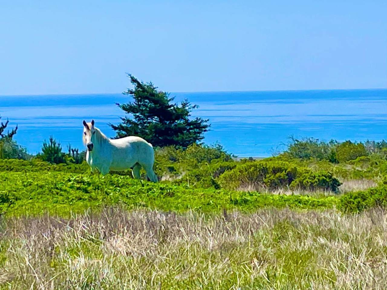 000 Pigeon Point Rd - Photo 1