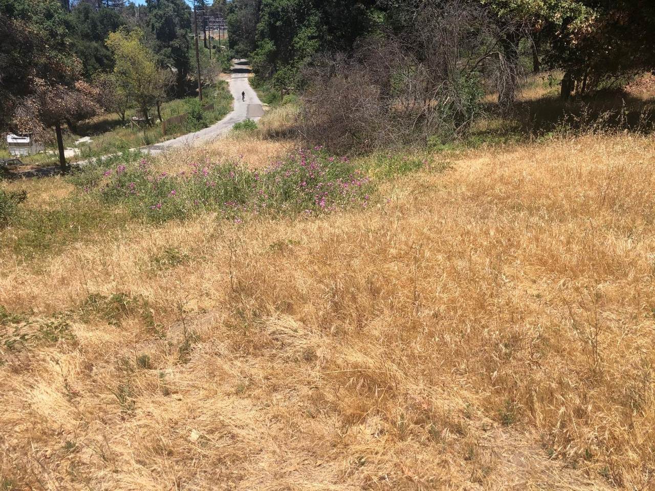 0 Vick Dr - Photo 1