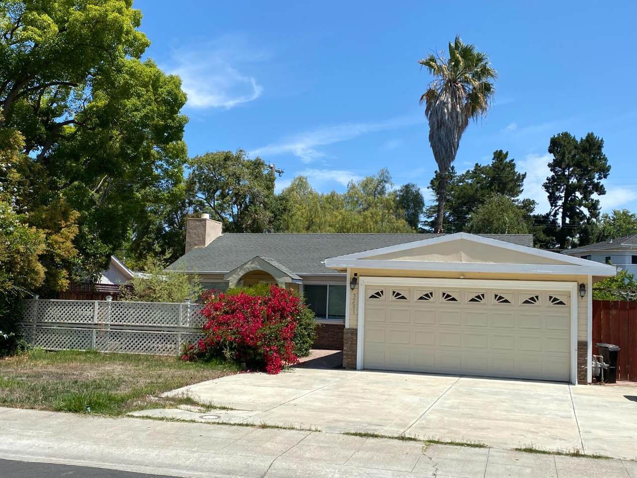 3201 Louis Rd - Photo 1