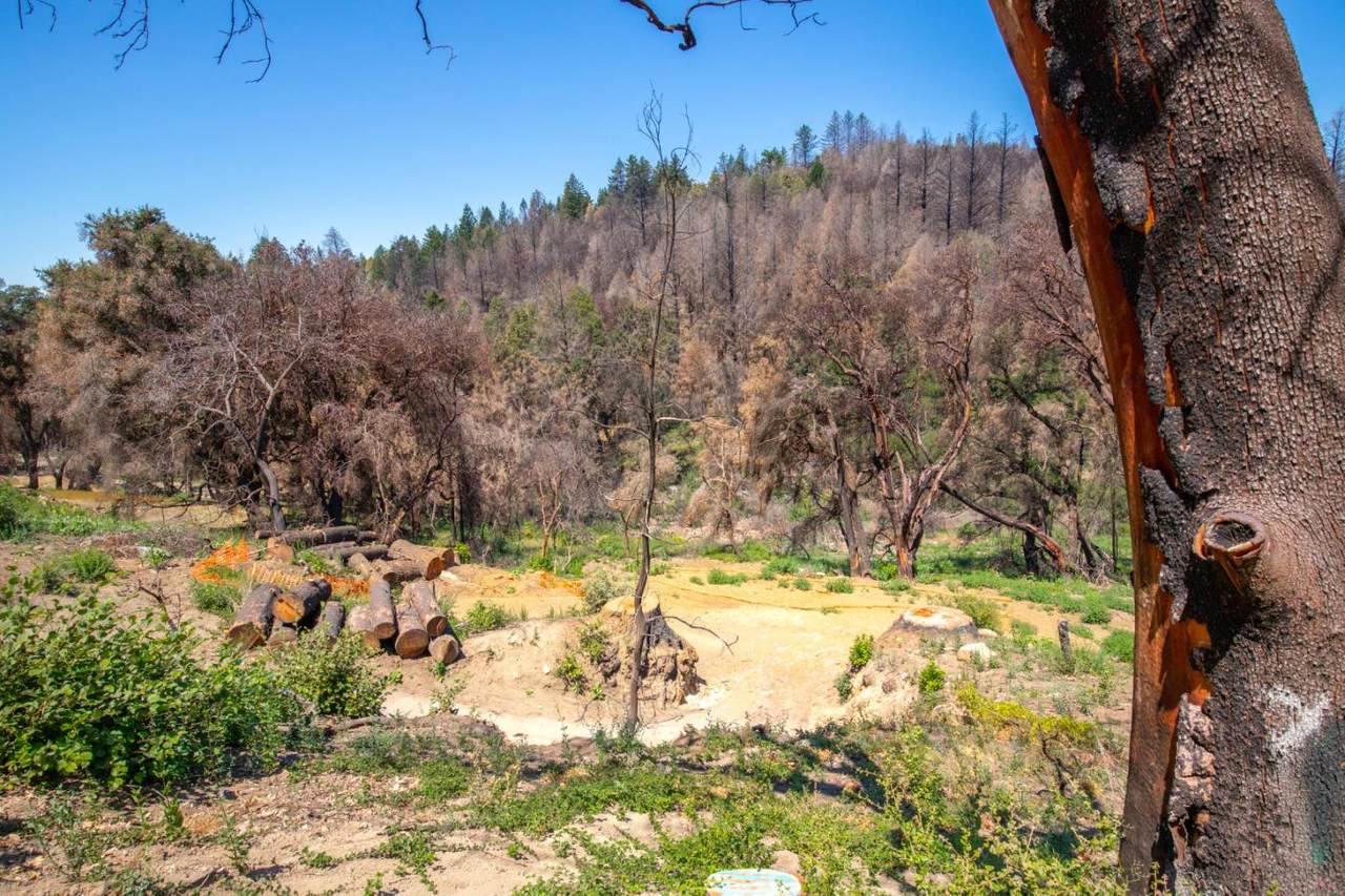 10909 Empire Grade - Photo 1