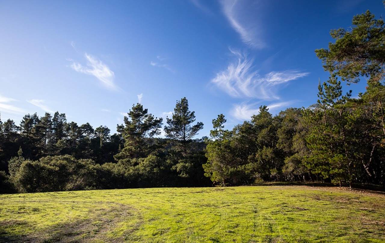 20 Tehama (Lot 38) - Photo 1