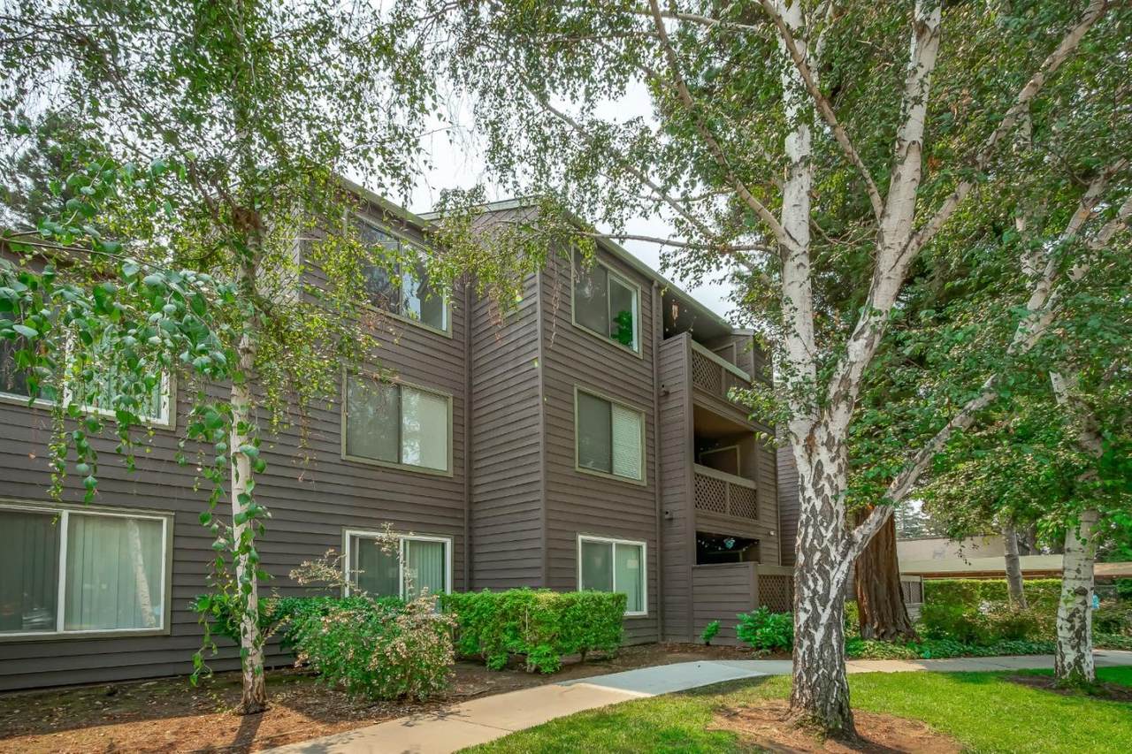 921 Catkin Ct - Photo 1