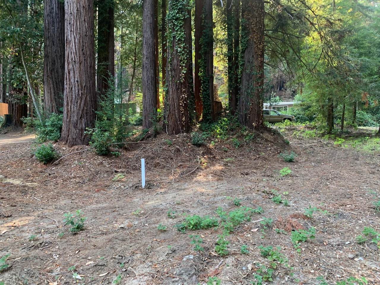 616 Lilac Ave - Photo 1