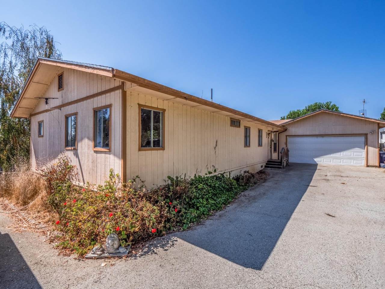 632 Farasi Ln - Photo 1