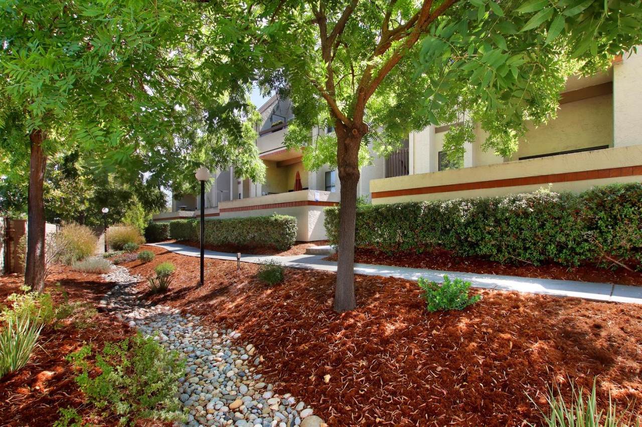 1653 Branham Park Ct - Photo 1