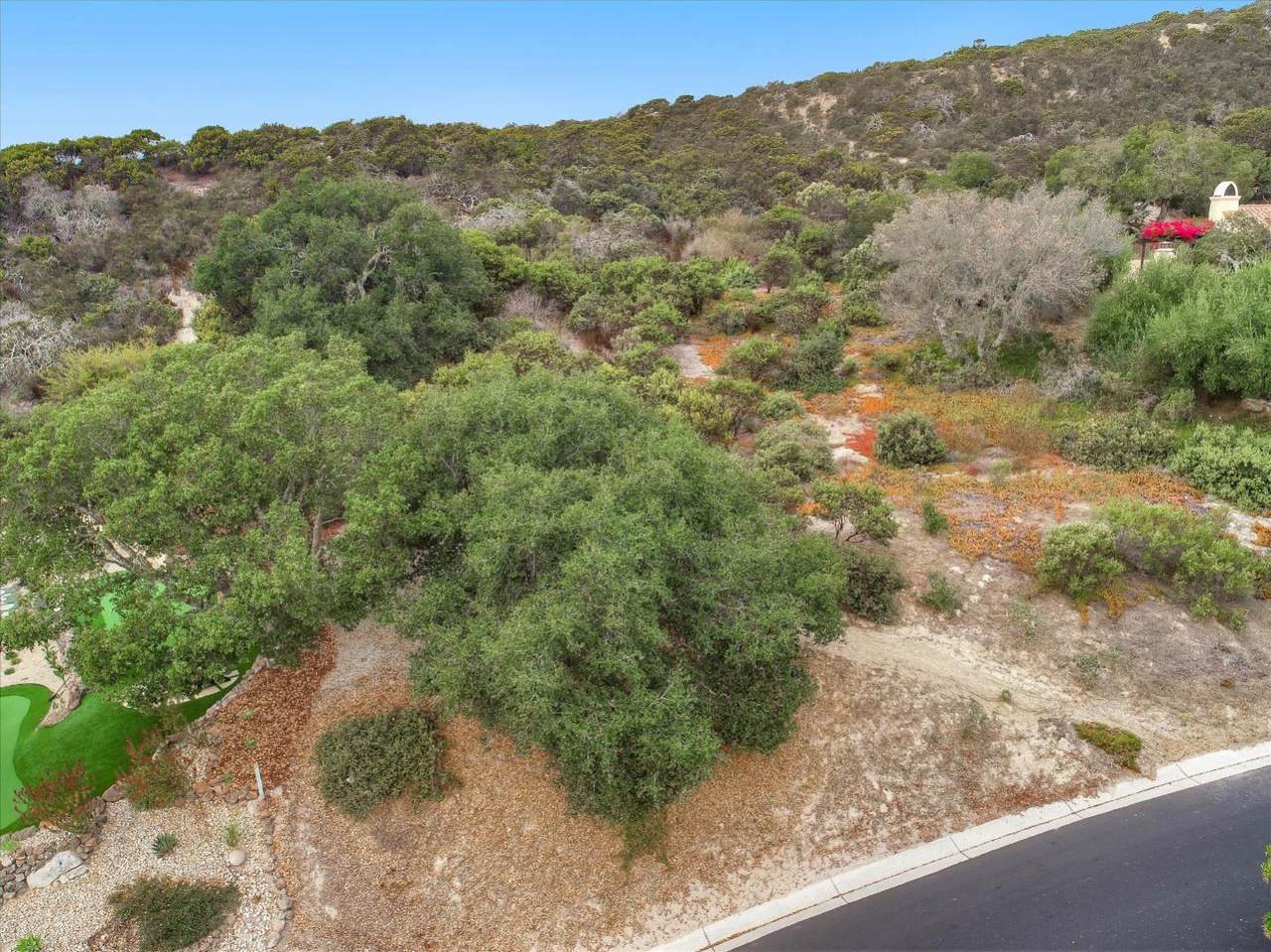 314 Pasadera Ct - Photo 1