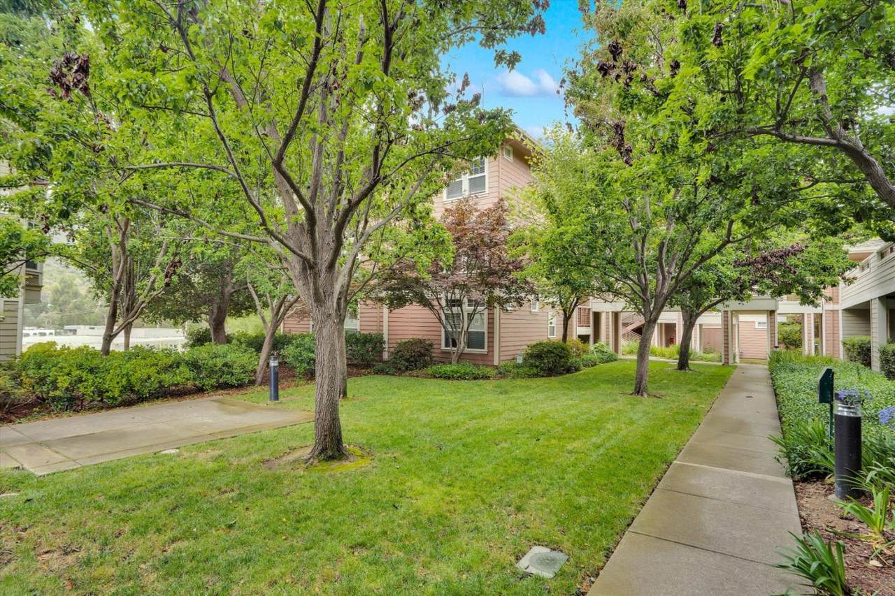721 Swallowtail Ct - Photo 1