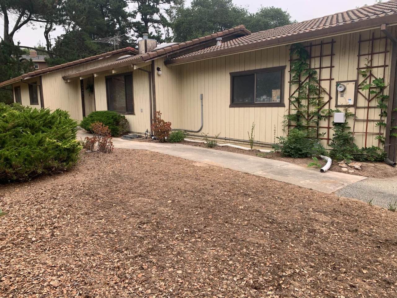 6541 Frankie Ln - Photo 1