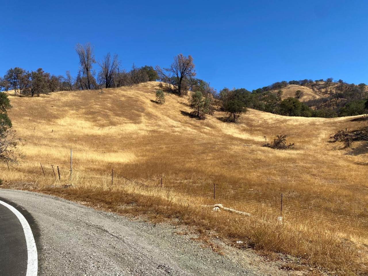 0000 San Antonio Valley Rd - Photo 1