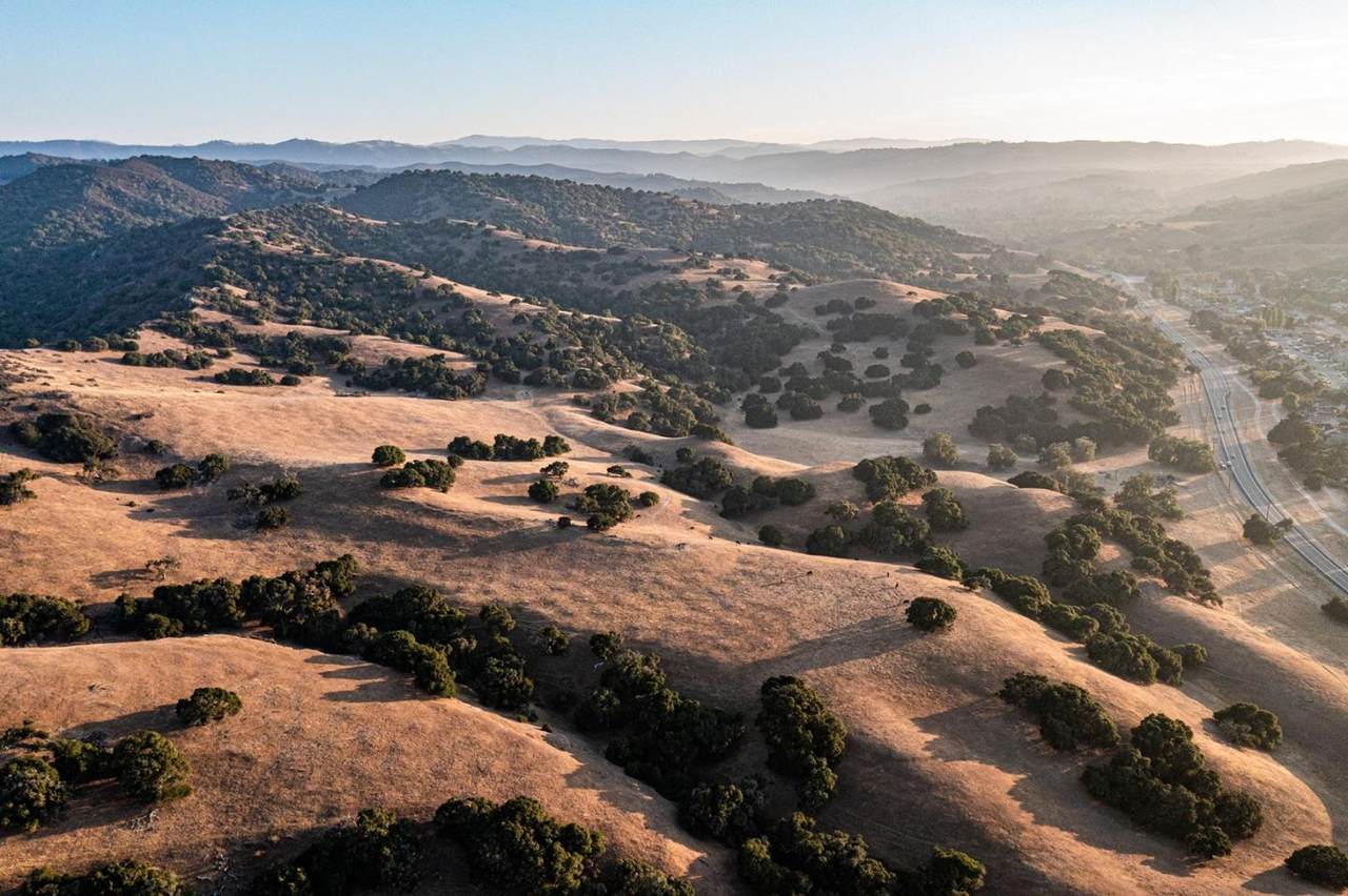 Ferrini Ranch - Photo 1