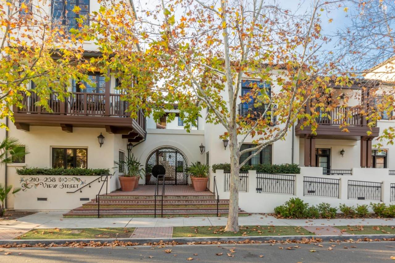 244 View St - Photo 1