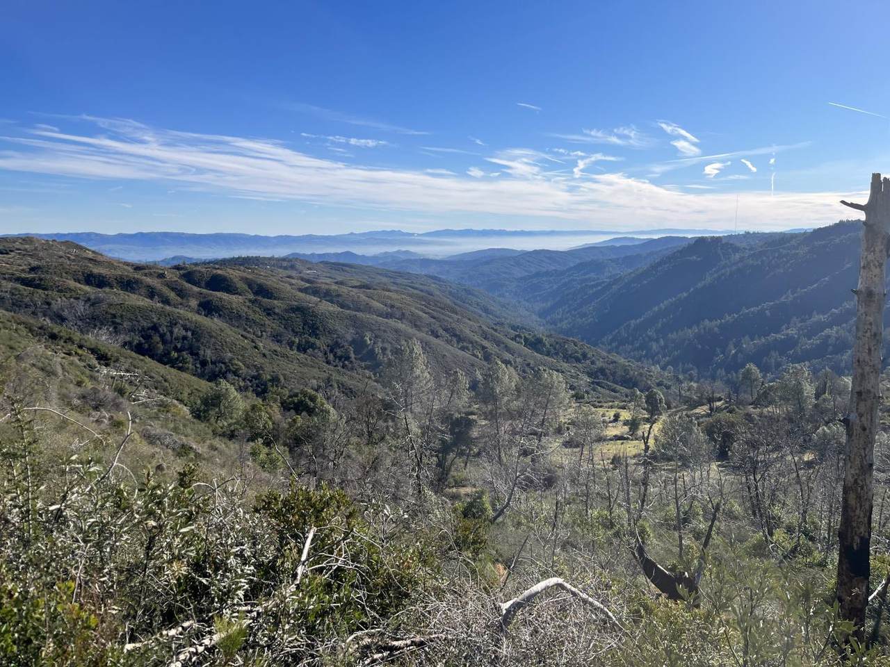 35500 Loma Chiquita - Photo 1