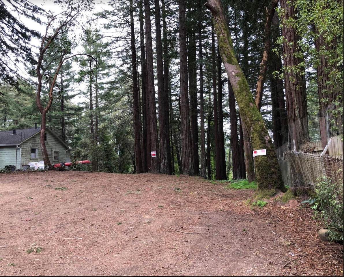 205 Huckleberry Trl - Photo 1