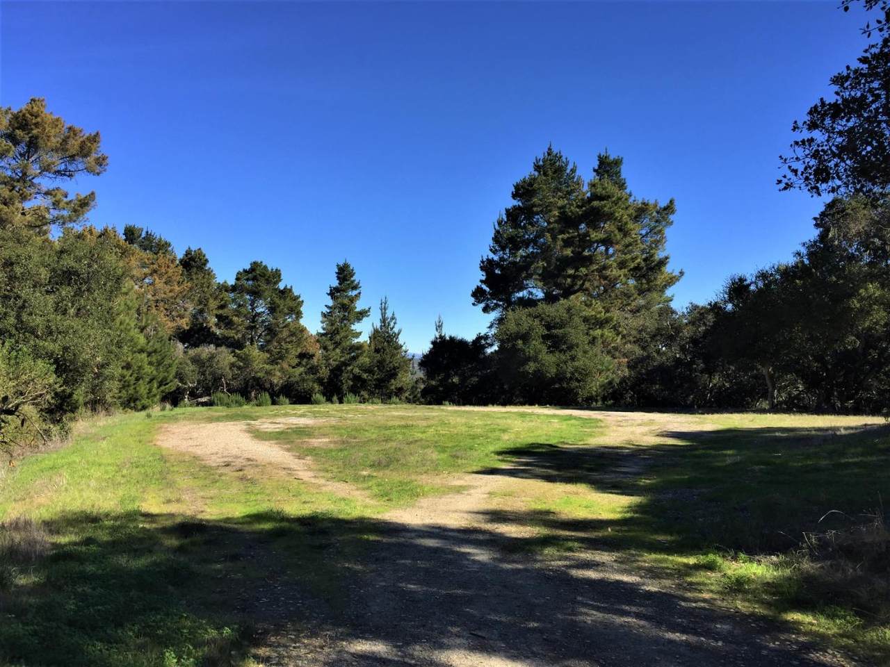 0 Paseo Venado (Lot 116) - Photo 1