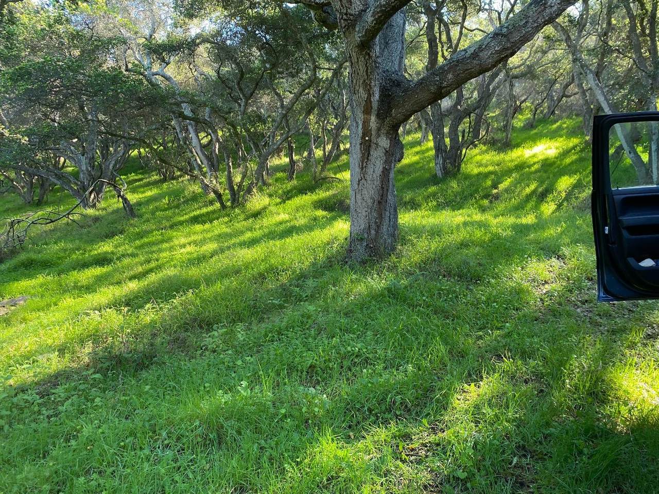 0 Pesante Rd - Photo 1