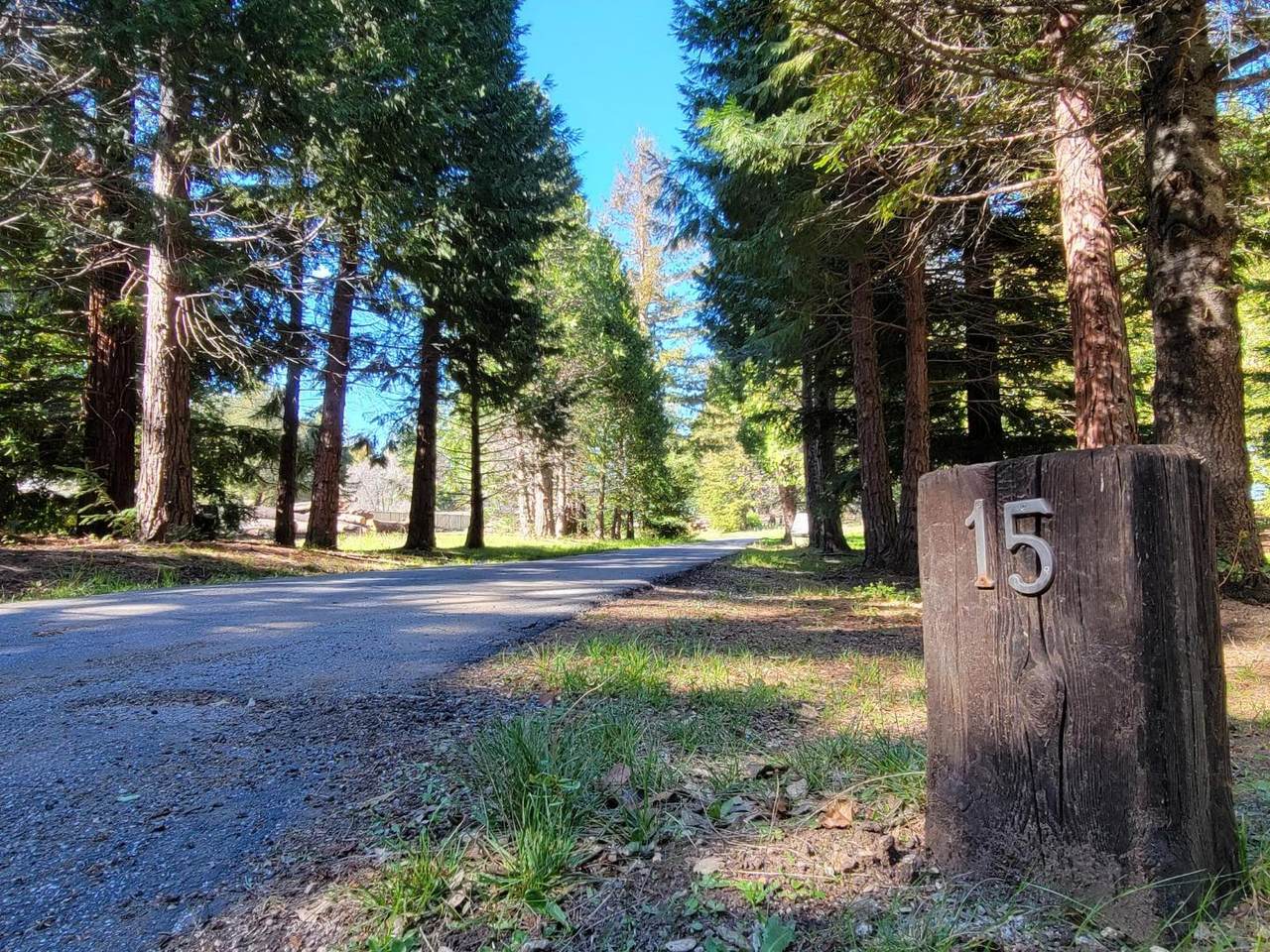 15 Braemoor Dr - Photo 1