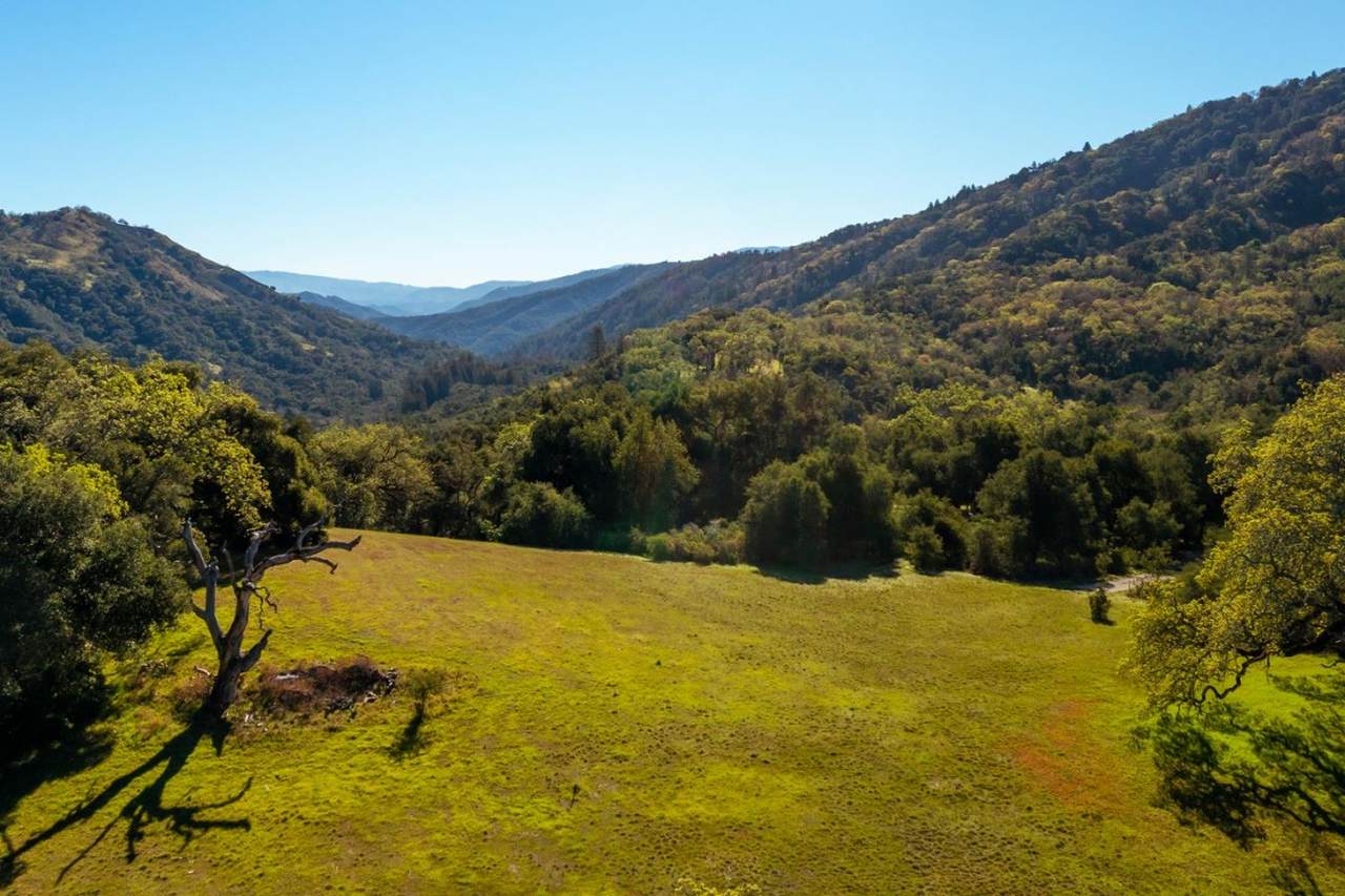 29 Arroyo Sequoia - Photo 1