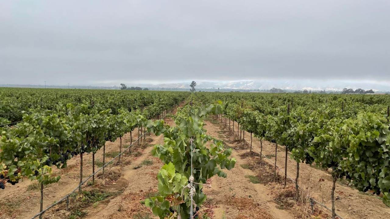 3385 Pacheco Pass Hwy - Photo 1