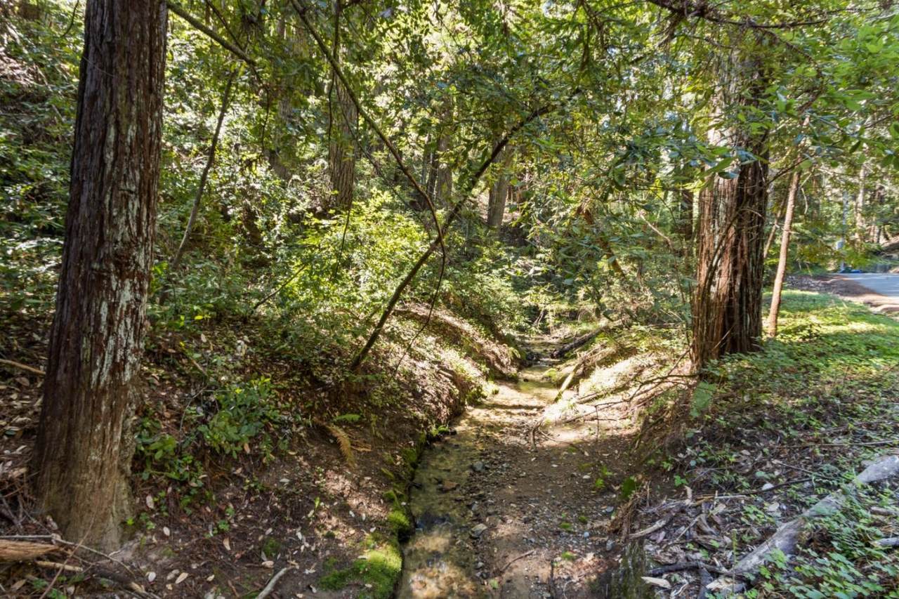 Lot 10 Hubbard Gulch Rd - Photo 1