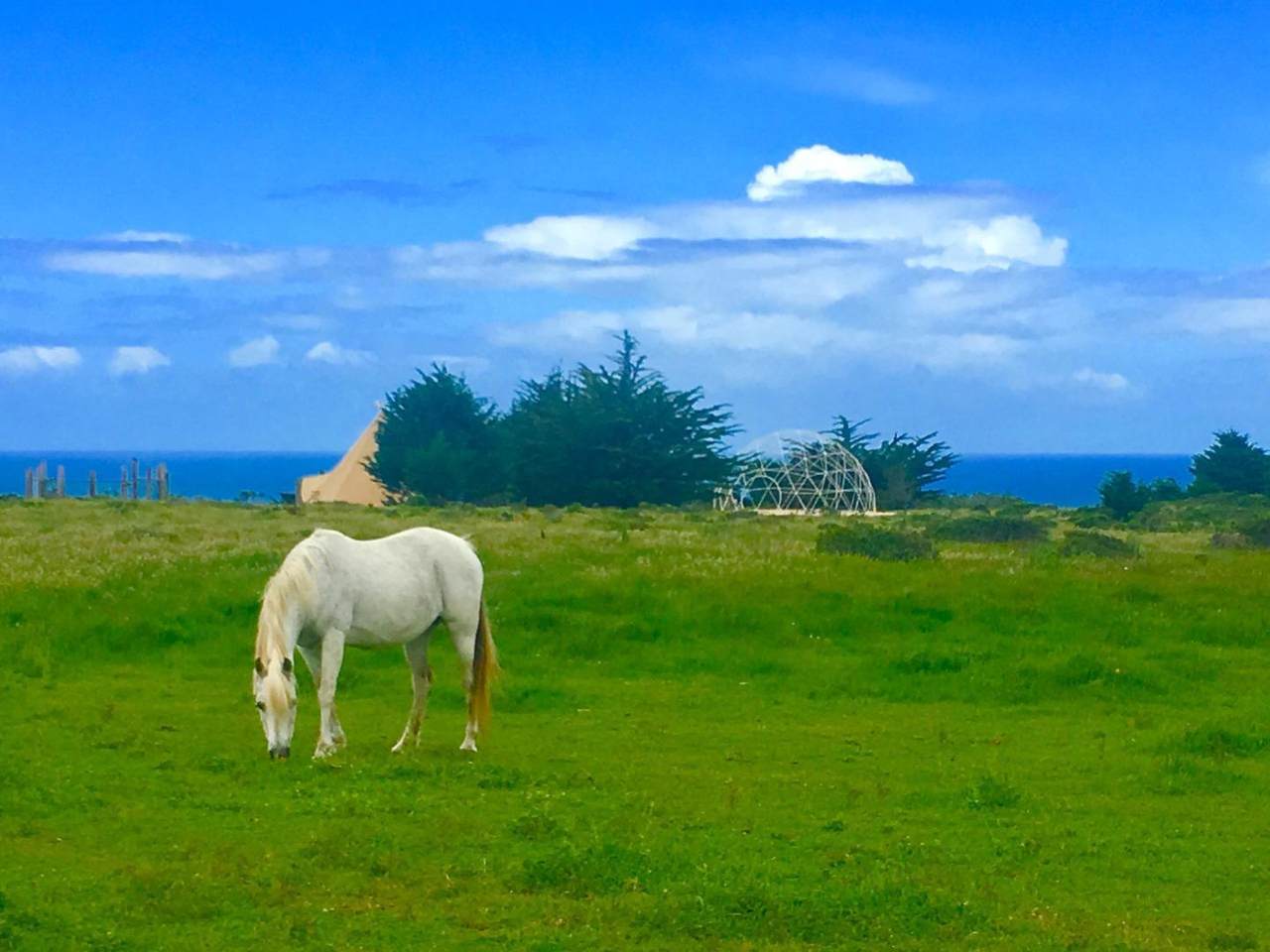 000 Pigeon Point Rd - Photo 1